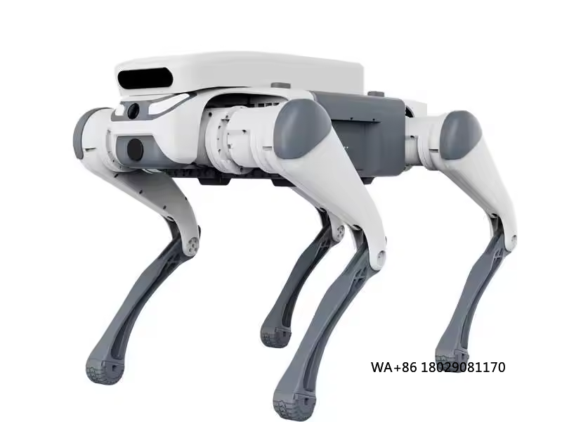 Juguete educativo con control  - Remote Control Toys reseña y precio